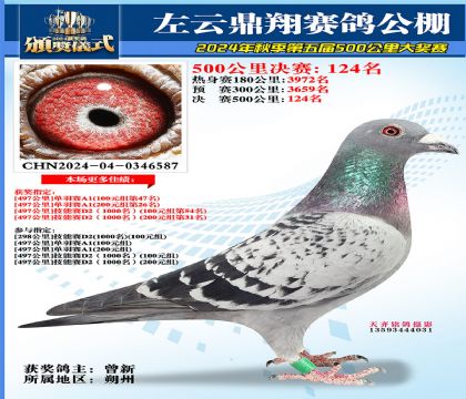 左云鼎翔决赛124名
