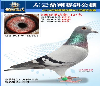 左云鼎翔决赛127名