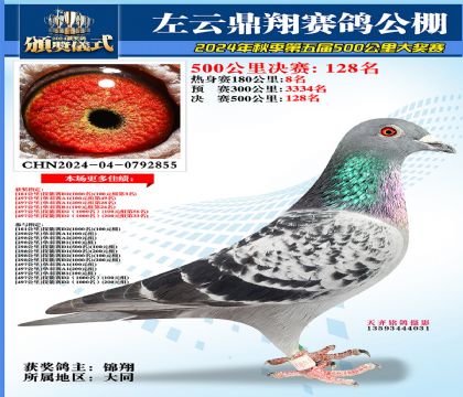 左云鼎翔决赛128名