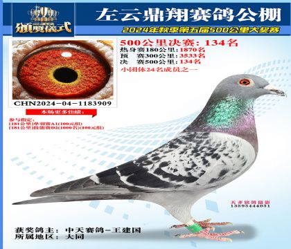 左云鼎翔决赛134名