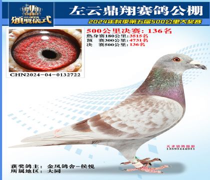 左云鼎翔决赛136名
