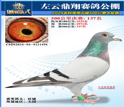 左云鼎翔决赛137名