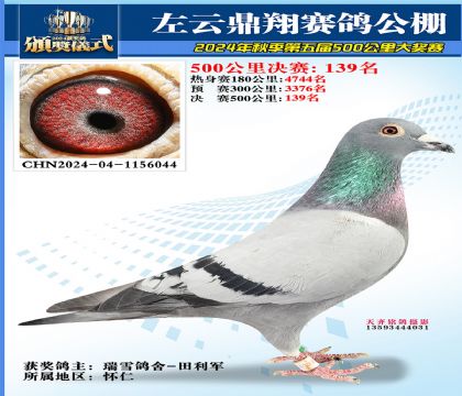 左云鼎翔决赛139名