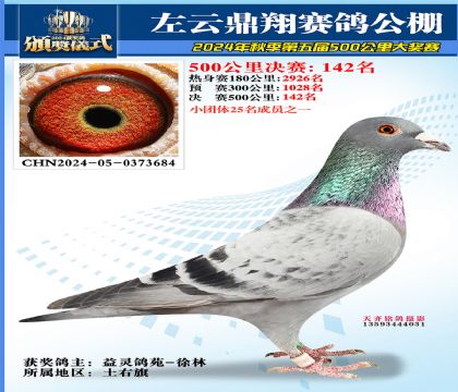 左云鼎翔决赛142名