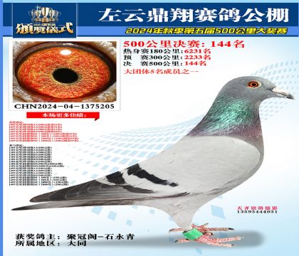 左云鼎翔决赛144名