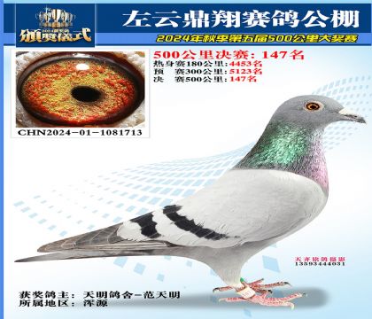 左云鼎翔决赛147名