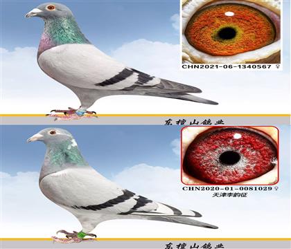 ĸDƬ
