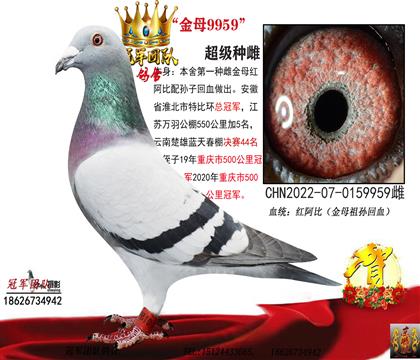 ĸHһ݅ѪN