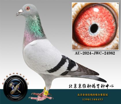 76-AU-2024-JWC-24982