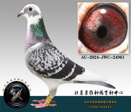 77-AU-2024-JWC-24961