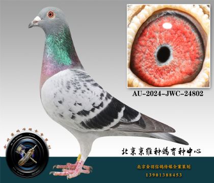 80-AU-2024-JWC-24802