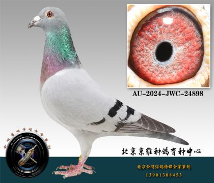 81-AU-2024-JWC-24898