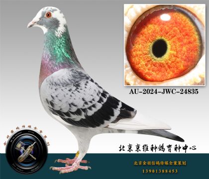82-AU-2024-JWC-24835