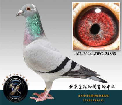 83-AU-2024-JWC-24865