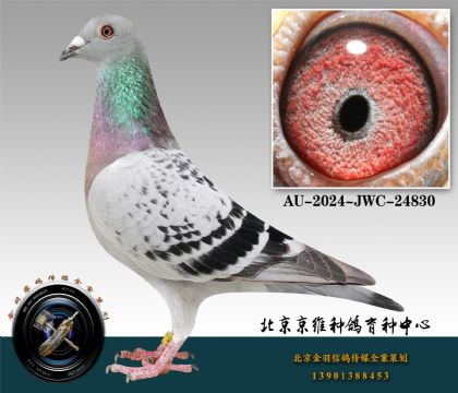 84-AU-2024-JWC-24830