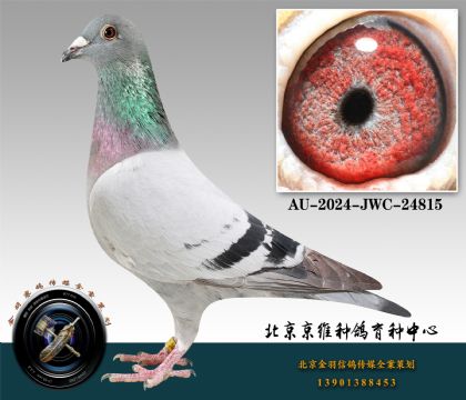 87-AU-2024-JWC-24815