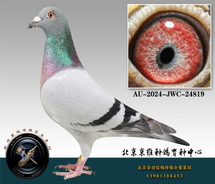 89-AU-2024-JWC-24819