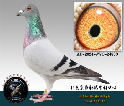 92-AU-2024-JWC-24839