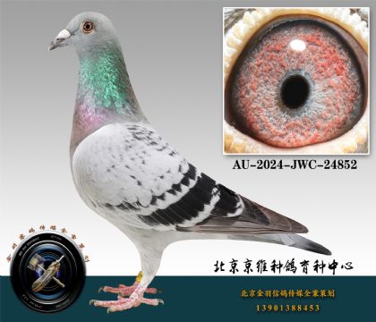 96-AU-2024-JWC-24852