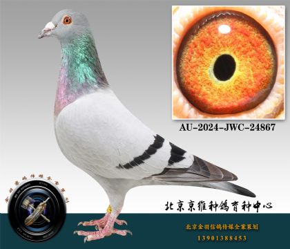97-AU-2024-JWC-24867
