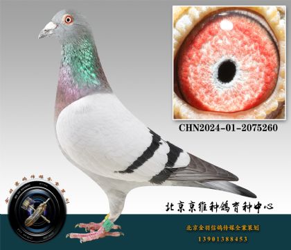 99-2024-01-2075260