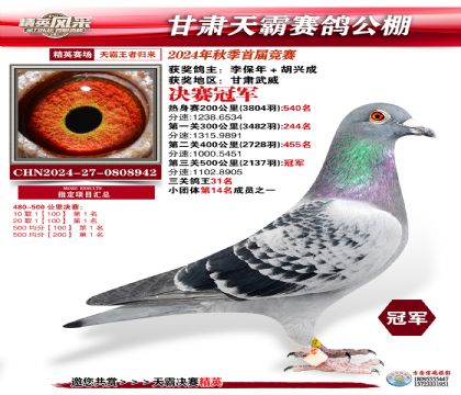 甘肅天霸決賽冠軍