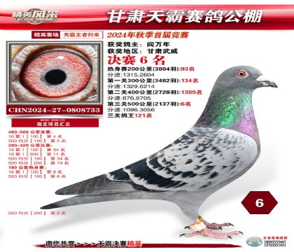 甘肅天霸決賽6名