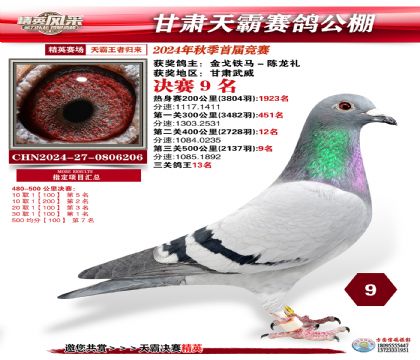 甘肅天霸決賽9名