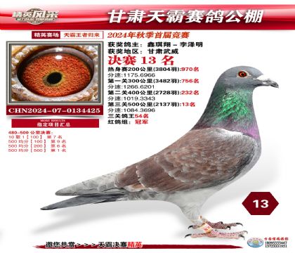 甘肅天霸決賽13名