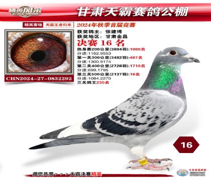甘肅天霸決賽16名