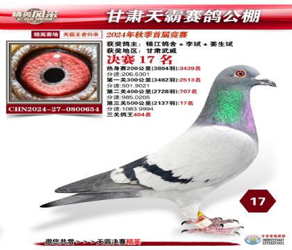 甘肅天霸決賽17名