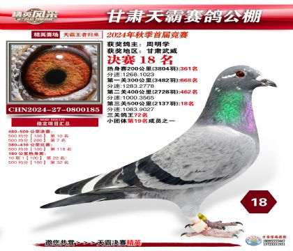 甘肅天霸決賽18名