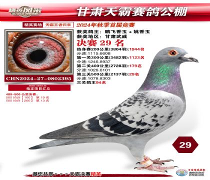 甘肅天霸決賽29名