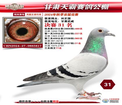 甘肅天霸決賽31名