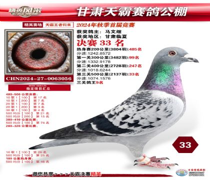 甘肅天霸決賽33名