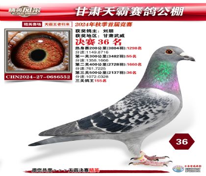 甘肅天霸決賽36名