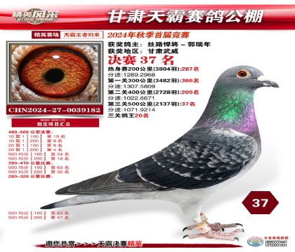 甘肅天霸決賽37名