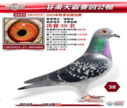 甘肅天霸決賽38名
