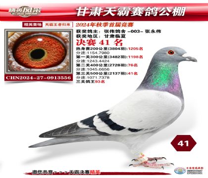 甘肅天霸決賽41名
