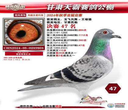 甘肅天霸決賽47名