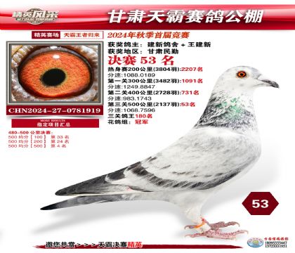 甘肅天霸決賽53名