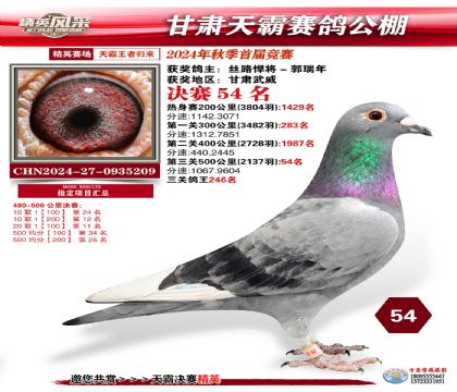 甘肅天霸決賽54名