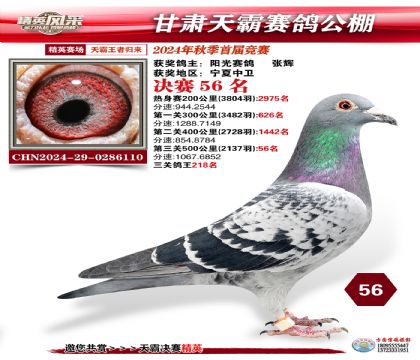 甘肅天霸決賽56名