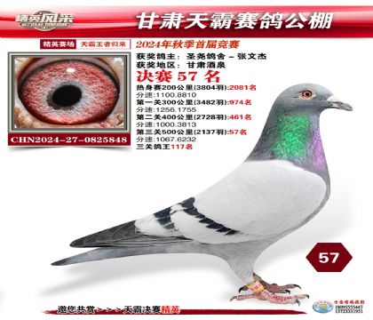 甘肅天霸決賽57名