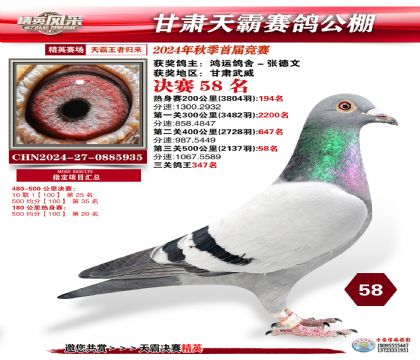 甘肅天霸決賽58名