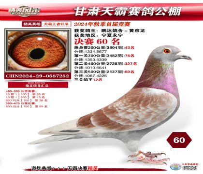 甘肅天霸決賽60名