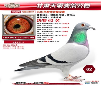 甘肅天霸決賽62名