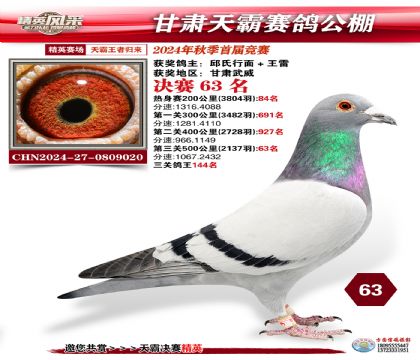 甘肅天霸決賽63名