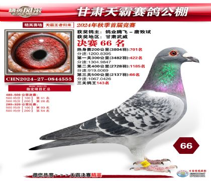 甘肅天霸決賽66名
