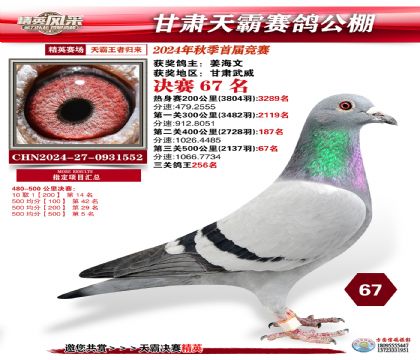甘肅天霸決賽67名